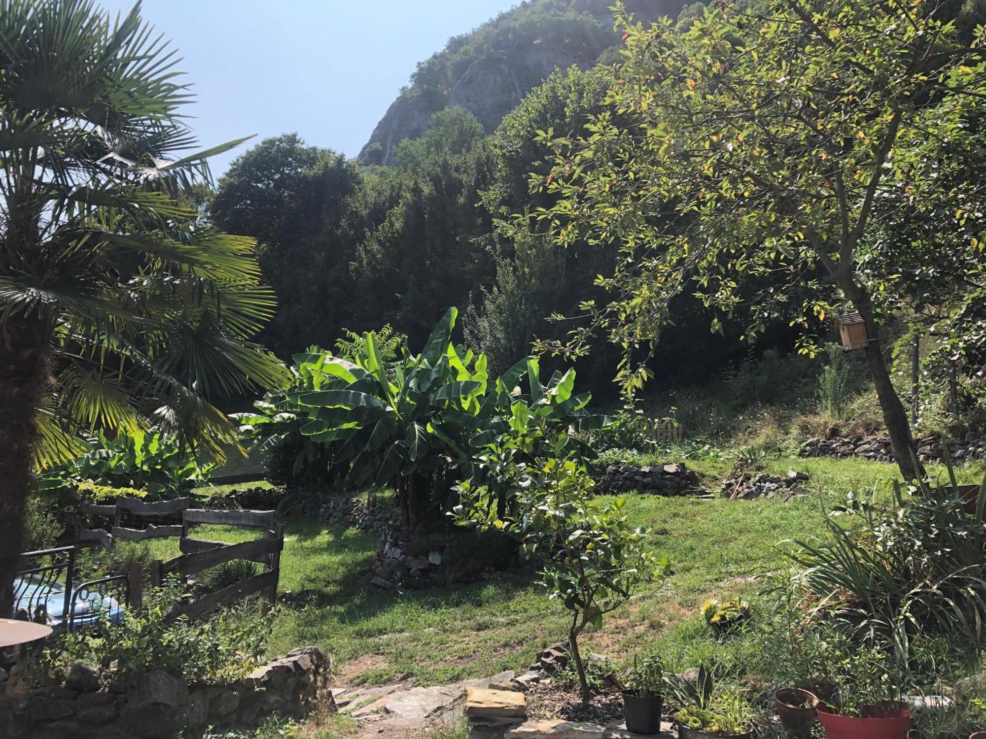 La Auarje: Appartement Avec Jardin & Terrasse Cierp Exterior foto